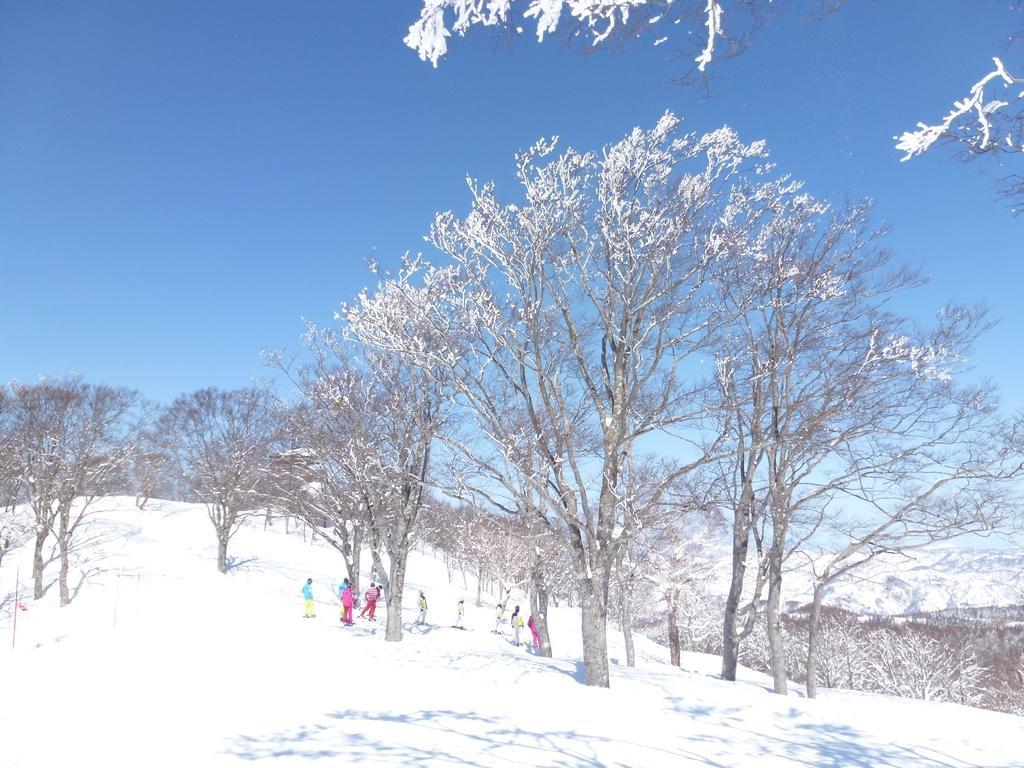 Hotel Tobei Nozawaonsen Exteriér fotografie