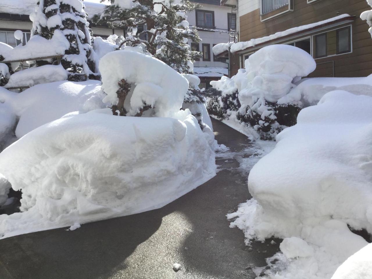 Hotel Tobei Nozawaonsen Exteriér fotografie